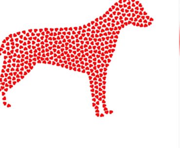 Some Known Facts About Best Dog Vitamins & Supplements - Low Prices (Free.