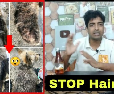 Which is Best vitamin supplement brand to controll hairfall in dog?