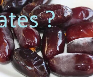 Dates  Nutrition ?  Benefits ? Protein ?