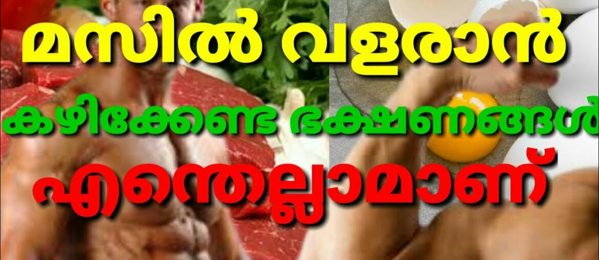 Best foods for muscle gain in malayalam
