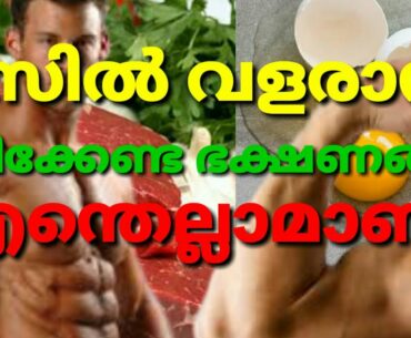 Best foods for muscle gain in malayalam