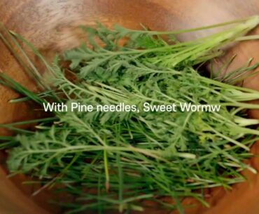 [COMMONLABS.] Vitamin E Calming Ampoule