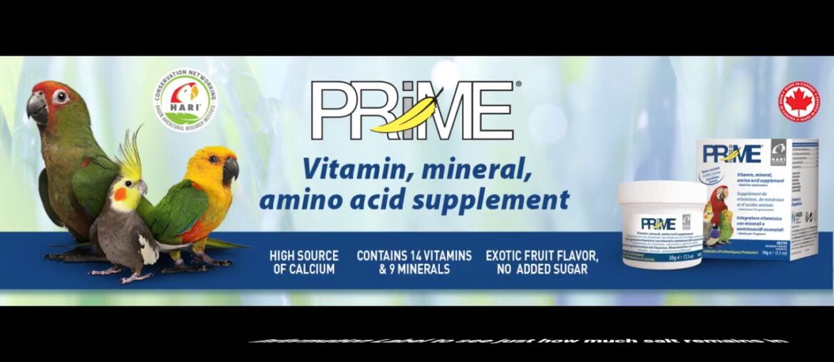 The Basic Principles Of Vitamins, Minerals & Supplements - Goop Shop