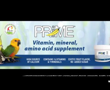 The Basic Principles Of Vitamins, Minerals & Supplements - Goop Shop