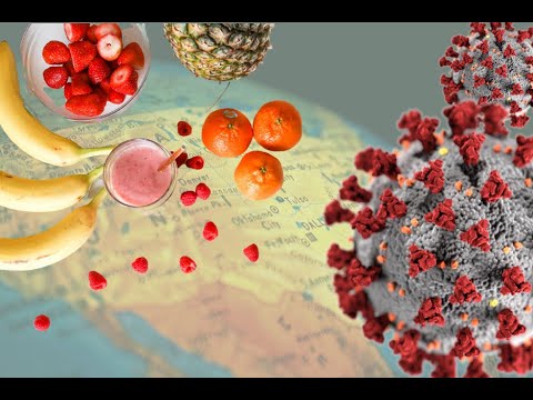 Clinical Nutrition in Immunity and COVID-19 (Coronavirus)