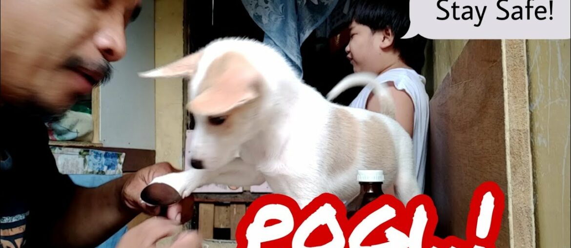 My best friend pogi,, take a vitamins 07-12-20