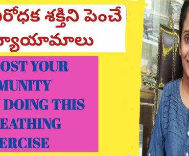 Boost your immune system through breathing||Basic breathing exercises  to improve your breath Telugu
