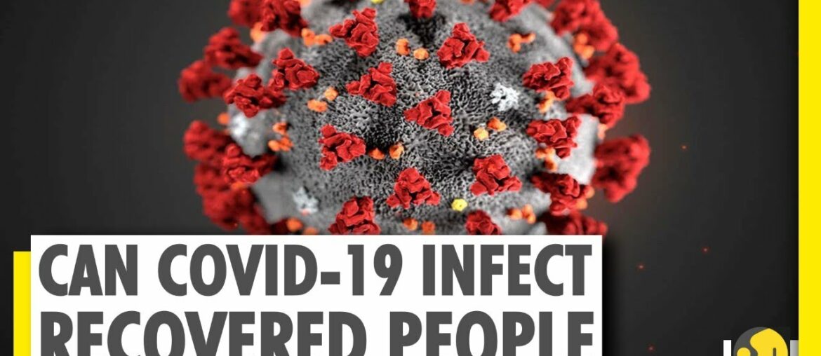 How long can a person stay immune from COVID-19? Coronavirus research | WION