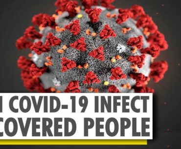 How long can a person stay immune from COVID-19? Coronavirus research | WION