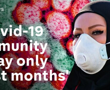 Coronavirus: Research suggests recovery from Covid-19 may only grant immunity for a few months