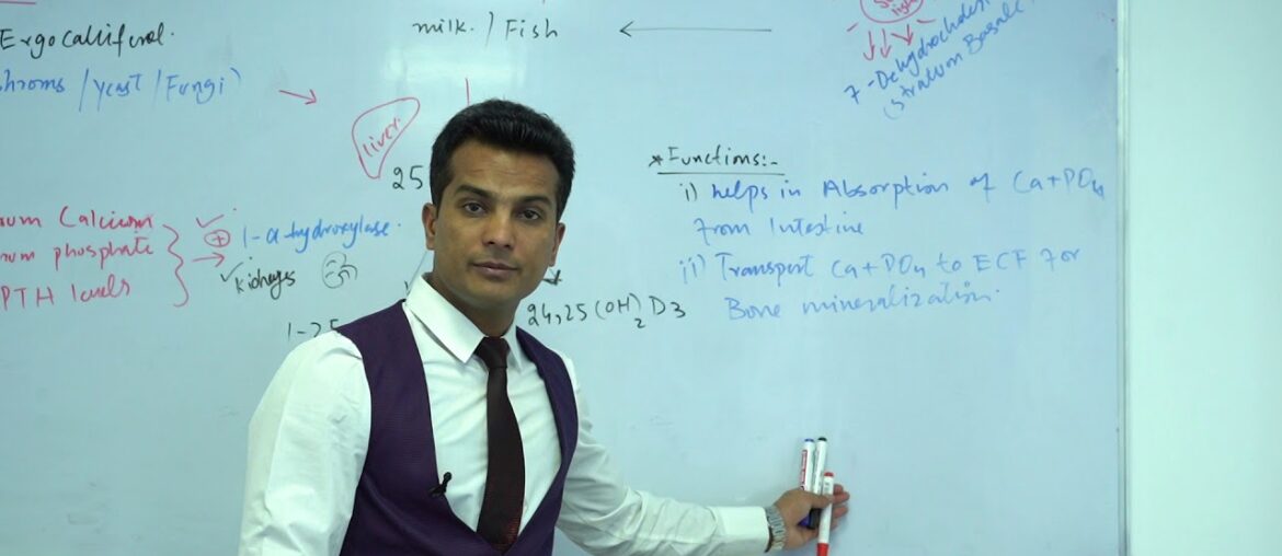 vitamin D,sources,metabolism and functions.