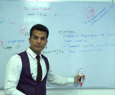 vitamin D,sources,metabolism and functions.