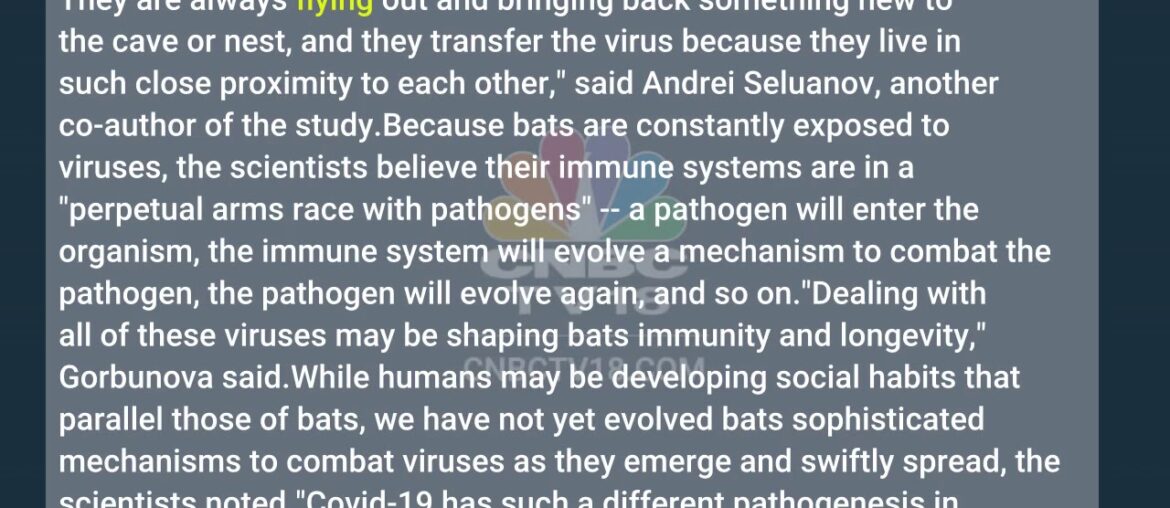Understanding bat immune system may help identify new Covid-19 drug targets, scientists say