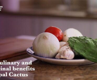 The Culinary and Medicinal Benefits of Nopal Cactus