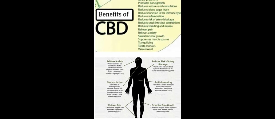 How Joy and Community Strengthen the Immune System thru a little-known system in our body.