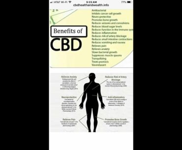 How Joy and Community Strengthen the Immune System thru a little-known system in our body.