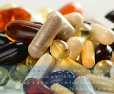 The Best Guide To Vitamins, Minerals and Nutritional Supplements: Diet