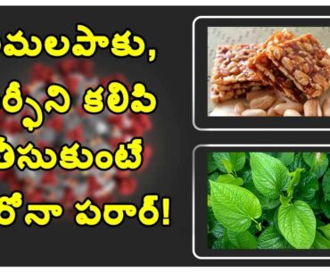 A Low cost Immune Booster for Corona virus