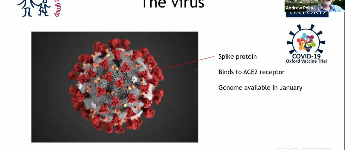 Vaccines for the control of COVID-19