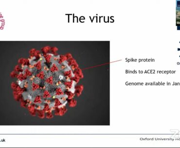 Vaccines for the control of COVID-19