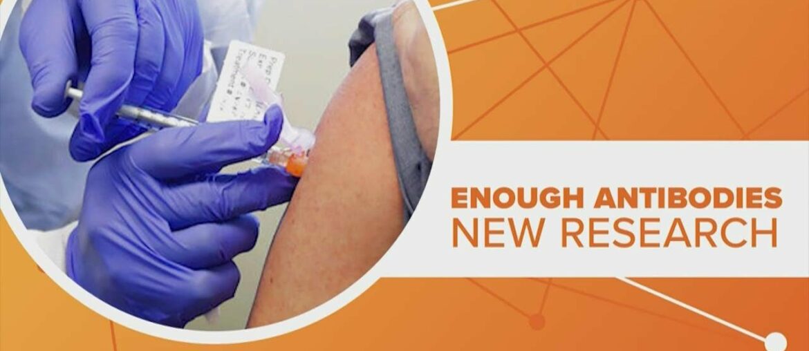 New research on herd immunity shows novel coronavirus antibodies may not last long