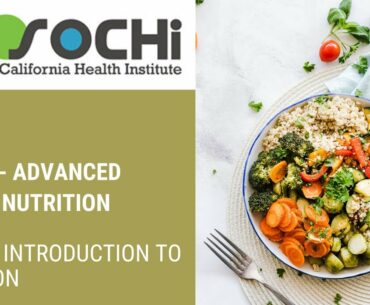 PFT 107 (Advanced Fitness Nutrition) Day 01 - Introduction to Nutrition