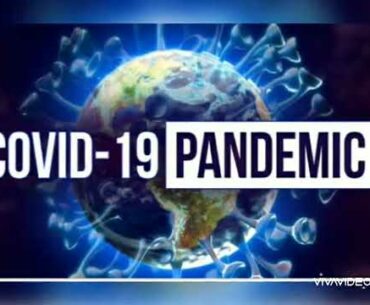 Covid19 #Immunity gaining food#beetle with Burfi...