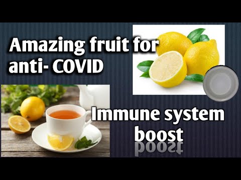 Amazing fruits for anti- COVID | Boost immune system | Lemon Benefits | Plenky Ampan