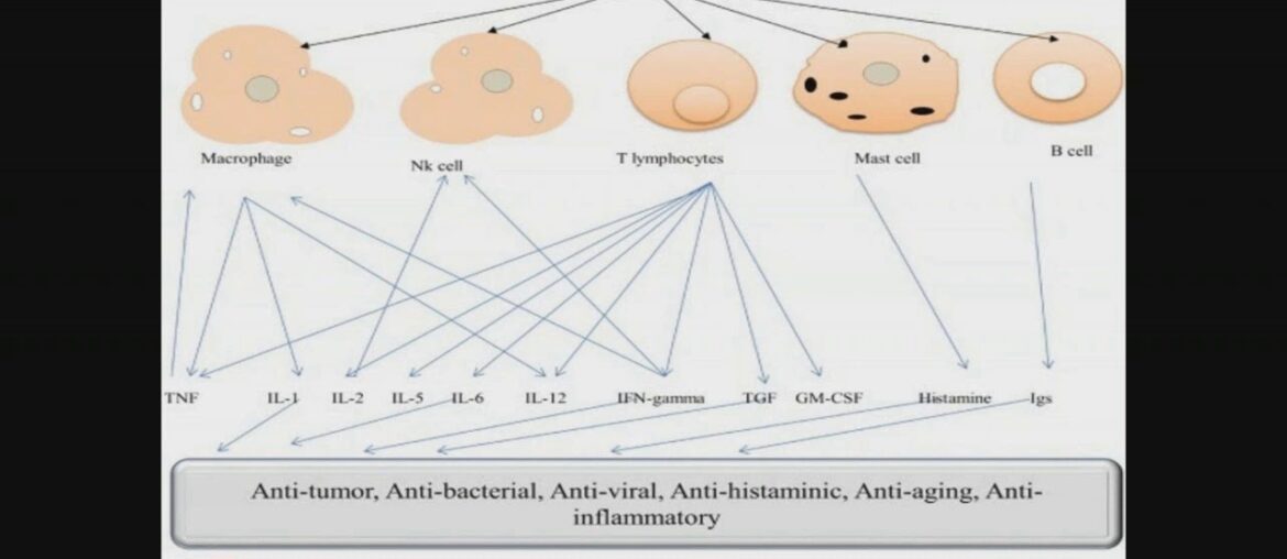 Strengthen Your Immune System to Prevent from Covid-19