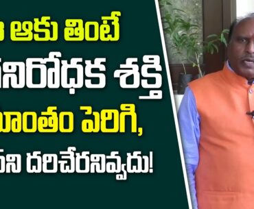 Dr.GBK Rao On Immunity Boost || Immunity Boost Drink || Latest Updates On COVID19