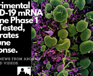Experimental COVID-19 mRNA Vaccine Phase 1 Trial Tested, Generates Immune Response.