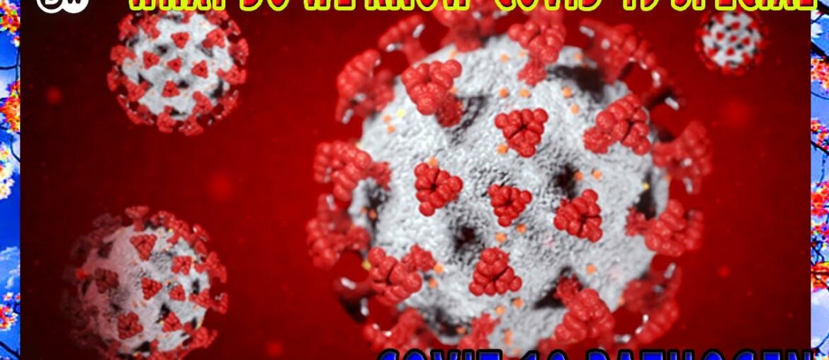 Coronavirus immunity What do we know  COVID 19 Special