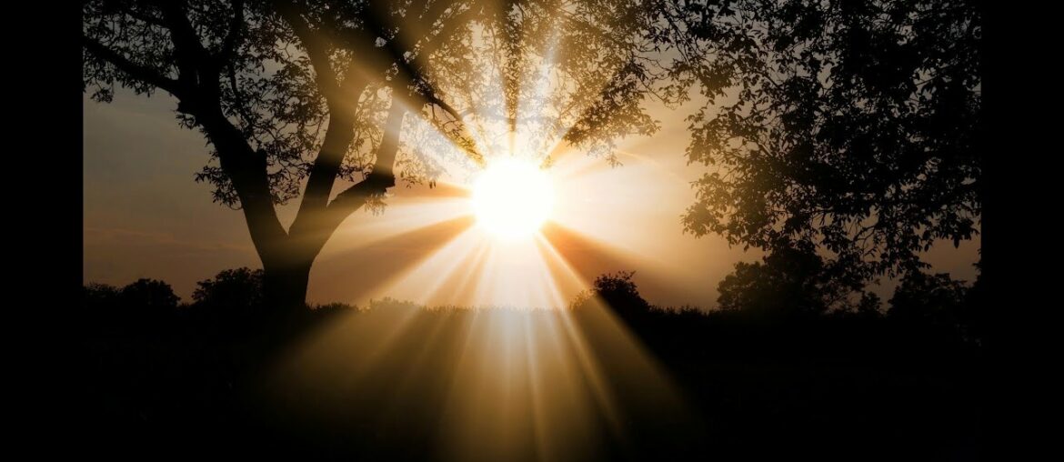 Do high temperatures affect novel coronavirus ?