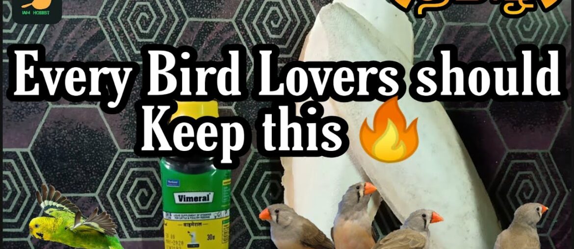 Best vitamin and mineral Supplement For Budgies/finche/Keep your Birds Healthy/vimeral/tamil/