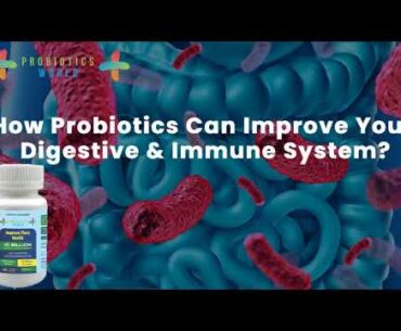 How Probiotics Can Improve Your Digestive & Immune System?