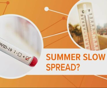 Why summer heat didn't stop the COVID-19 pandemic