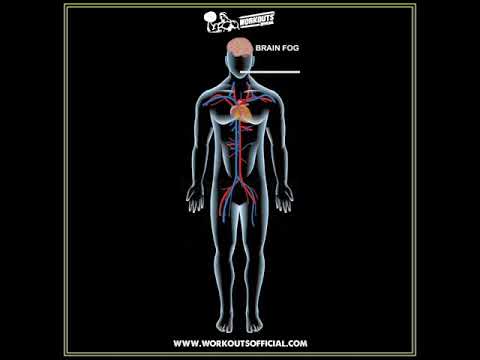 VITAMIN /B12 WORK