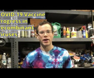 COVID-19 Vaccine Progress in Recombinant Viruses