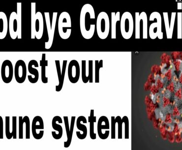 Boost your immune system, best vitamins to boost your immune system and immune support