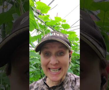 What we can do everyday in the face of COVID19