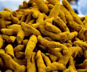 The 4-Minute Rule for How To Survive Covid-19 caused by the Wuhan Coronavirus