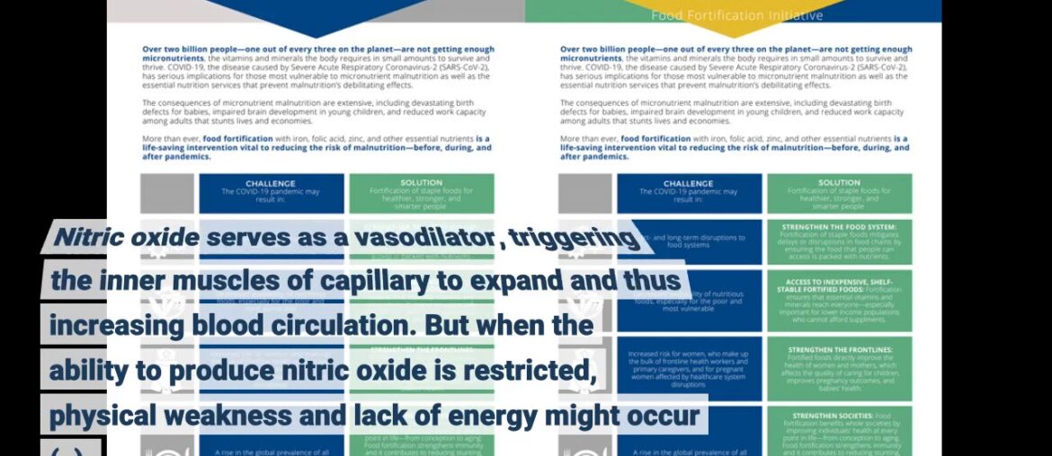 The Only Guide to Vitamin and Mineral Supplement Fact Sheets