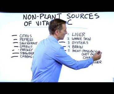 Non Plant Sources of Vitamin C