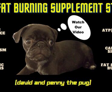 My Fat Burning Supplement Stack | Fats, Carbs & Metabolism