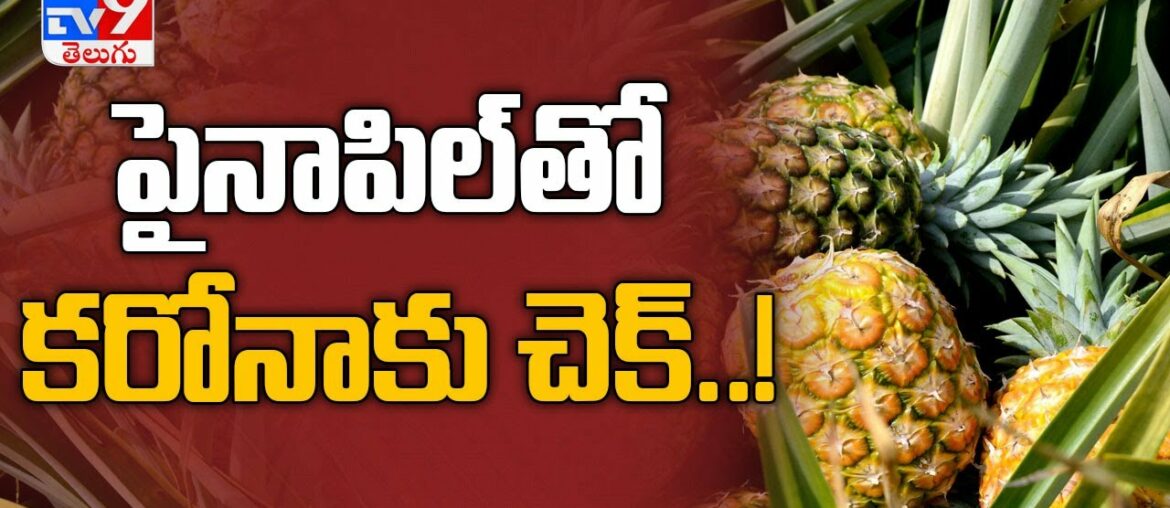 Covid -19 : Pineapple and lemon juice to boost people’s immunity - TV9