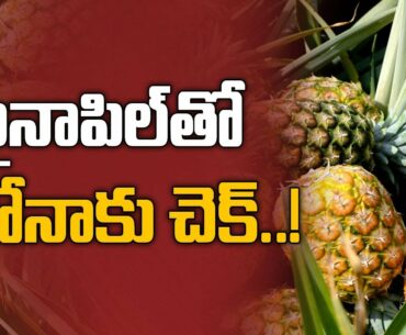 Covid -19 : Pineapple and lemon juice to boost people’s immunity - TV9
