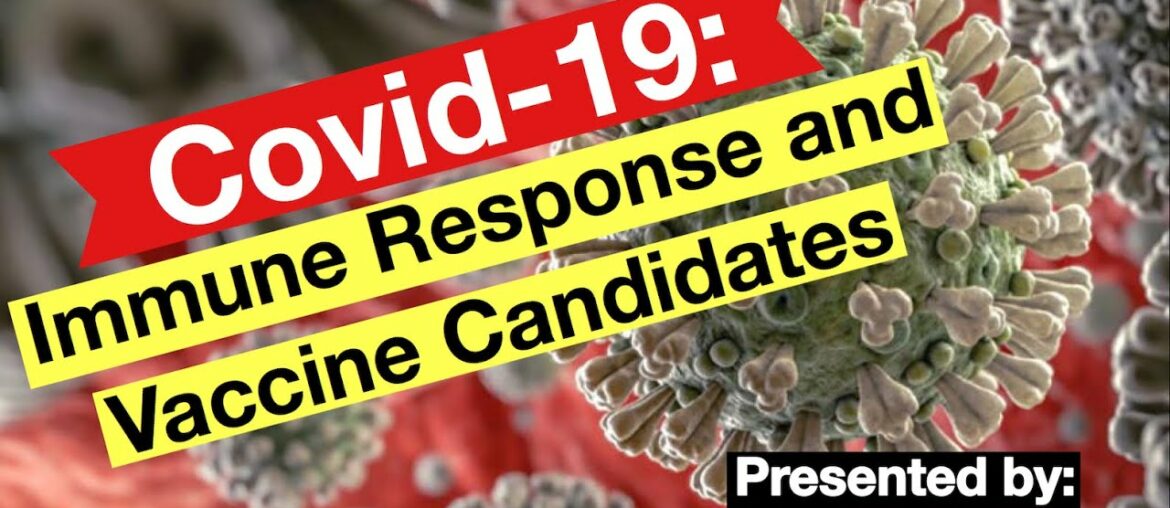 COVID-19 Immune Response and Vaccine Candidates