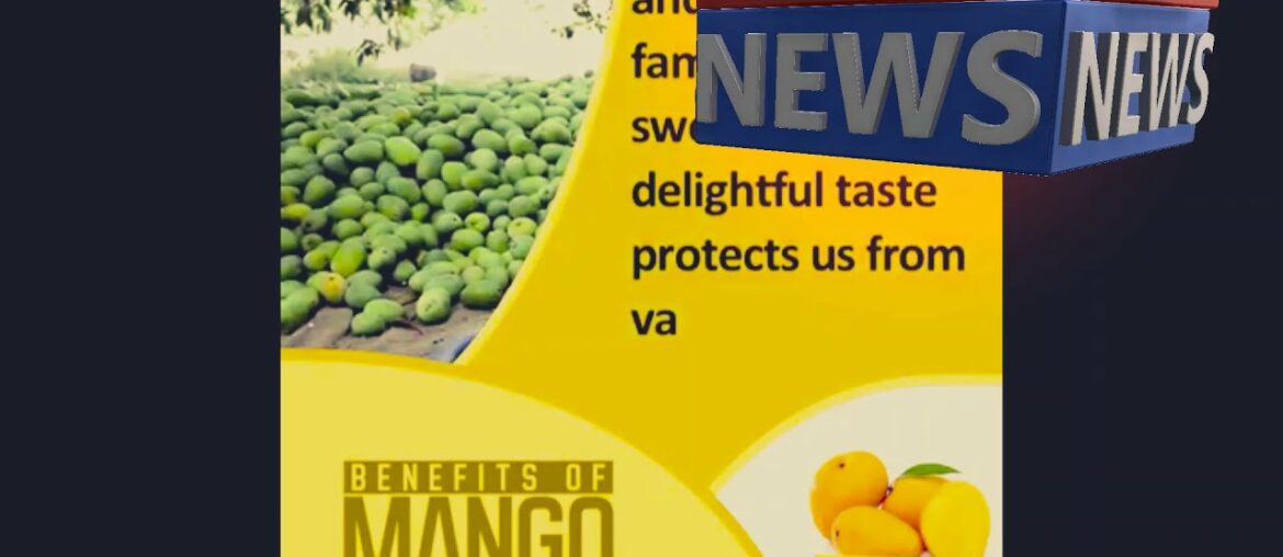Fresh Agriculture and Benefits Mangoes and its containing vitamins  and Minerals for Our Health