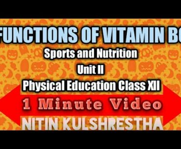 Functions of Vitamin 'B6' in 1 minute video for Class 12th