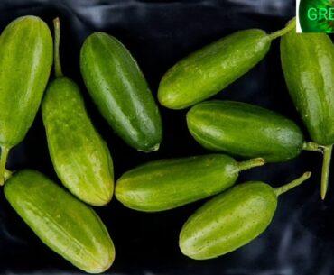 Nutrition facts of cucumber